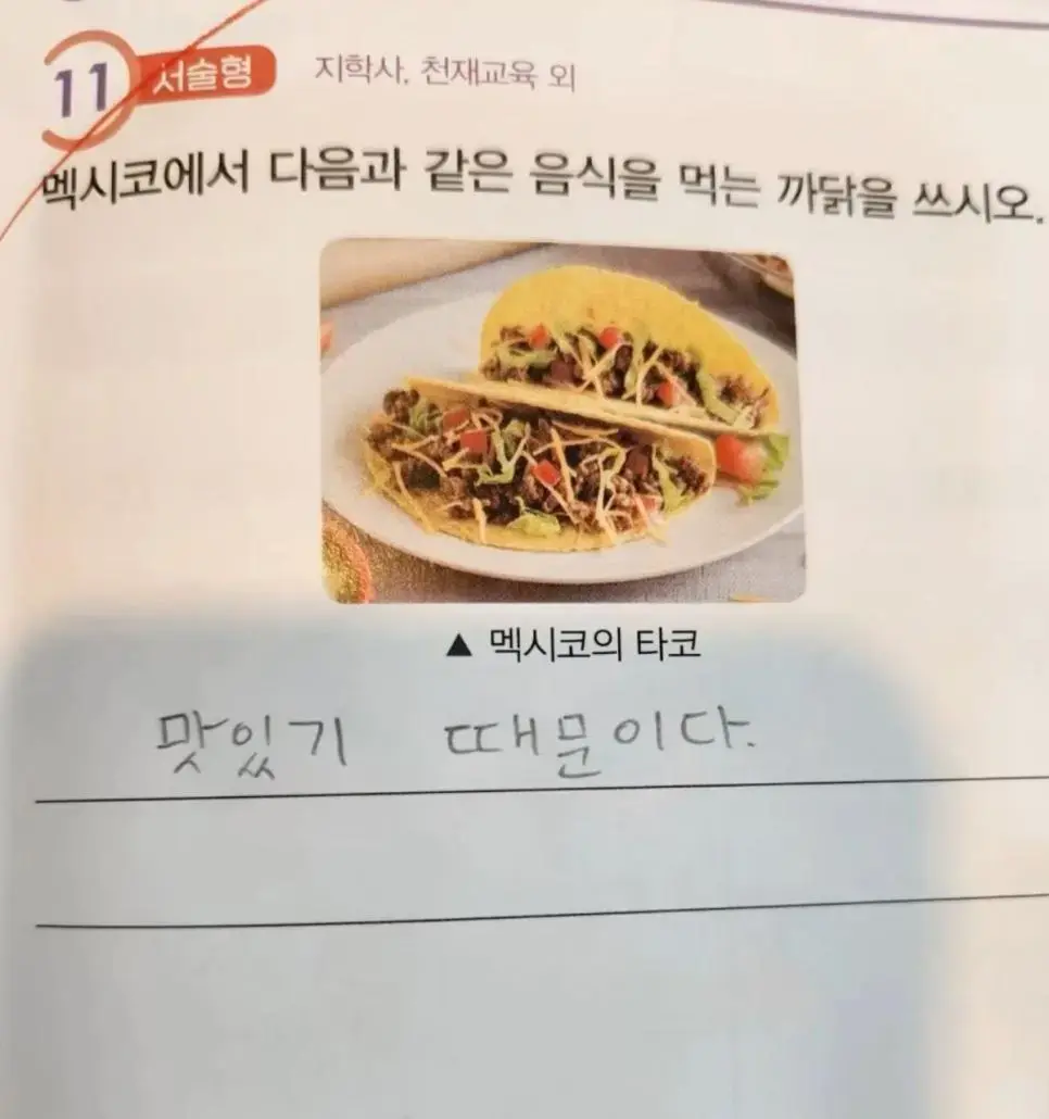 멕시코에서 타코를 먹는 이유 | 인스티즈