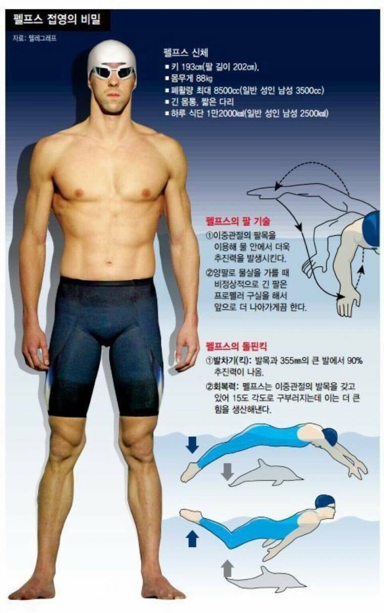 펠프스 선수 현역시절 하루 식사량 | 인스티즈