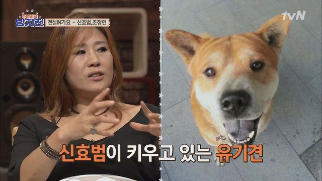 반려동물 사지 않고 입양한 연예인들.jpg | 인스티즈