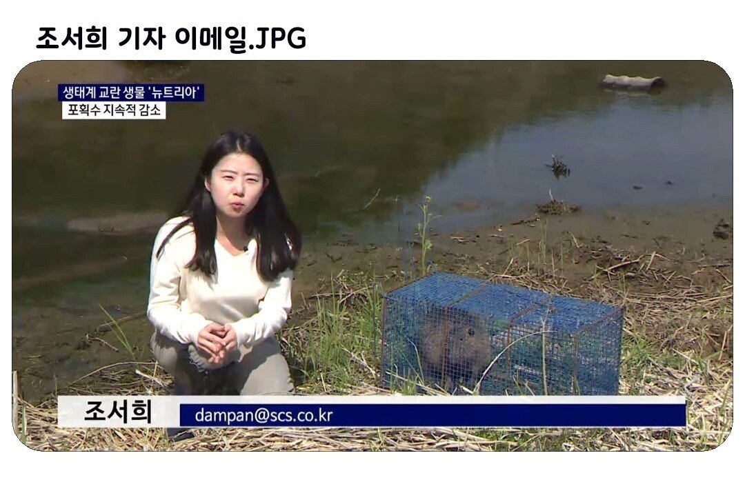 조'서희' 기자 이메일.jpg | 인스티즈