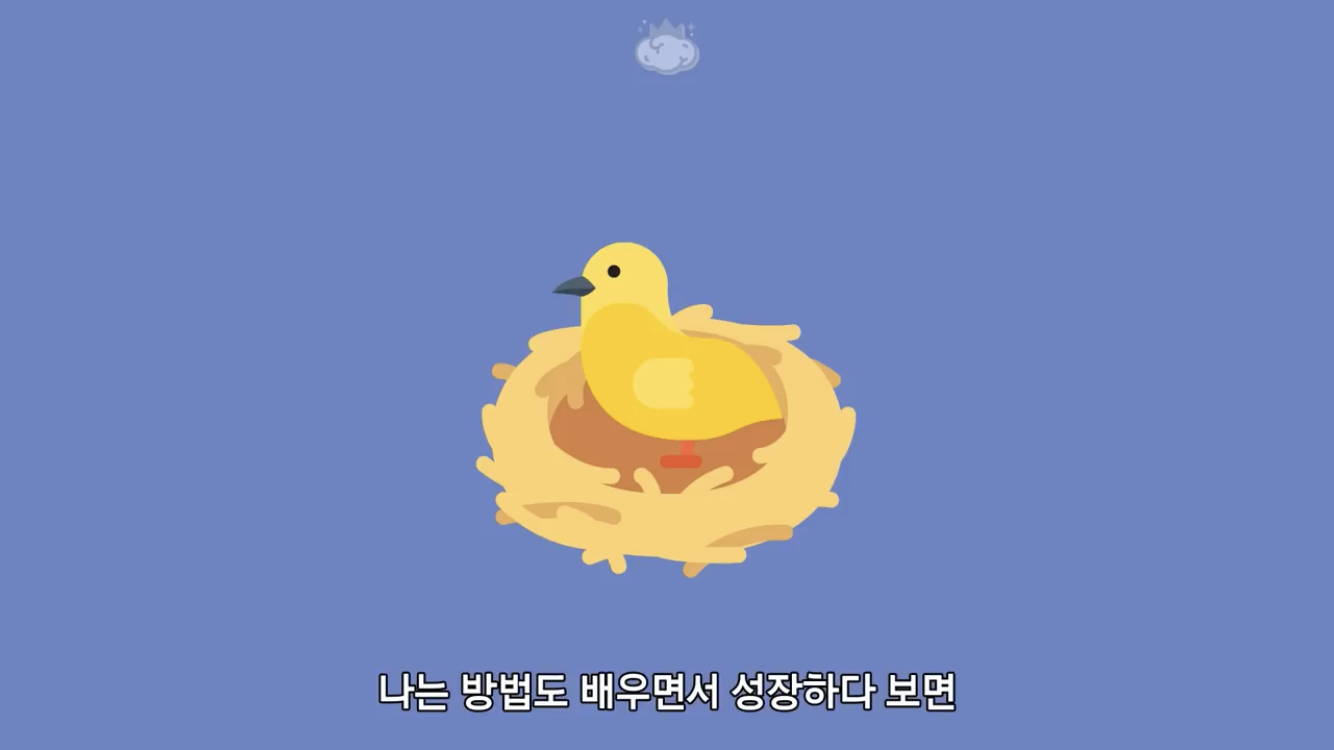 거리에 비둘기가 이렇게 많은데 왜 새끼 비둘기는 안 보일까? | 인스티즈