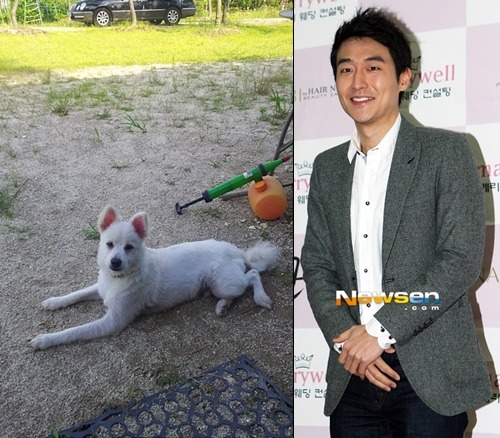 반려동물 사지 않고 입양한 연예인들.jpg | 인스티즈