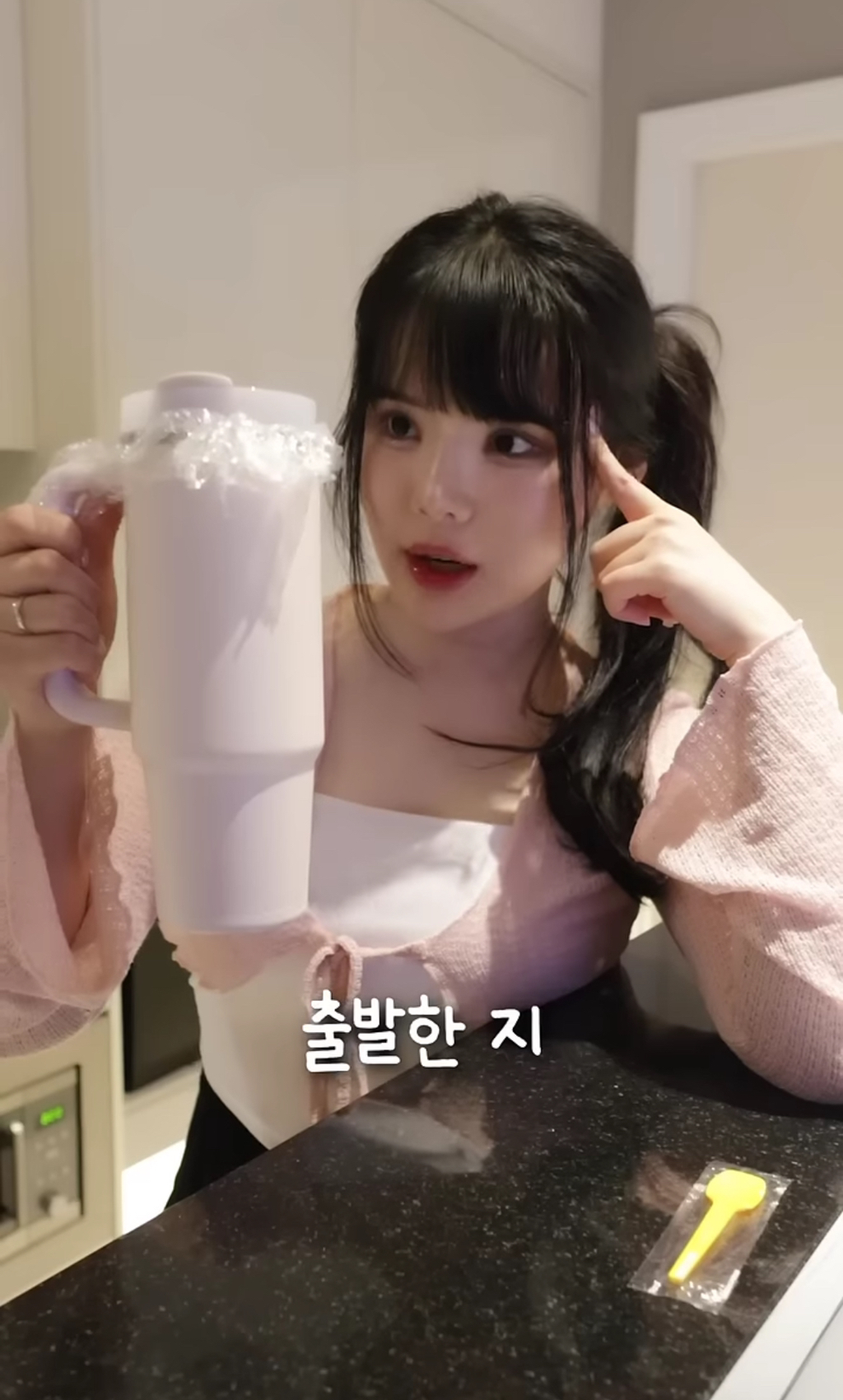 스탠리 텀블러에 요아정을 넣고 방콕 여행을 가면 녹을까 안 녹을까 | 인스티즈
