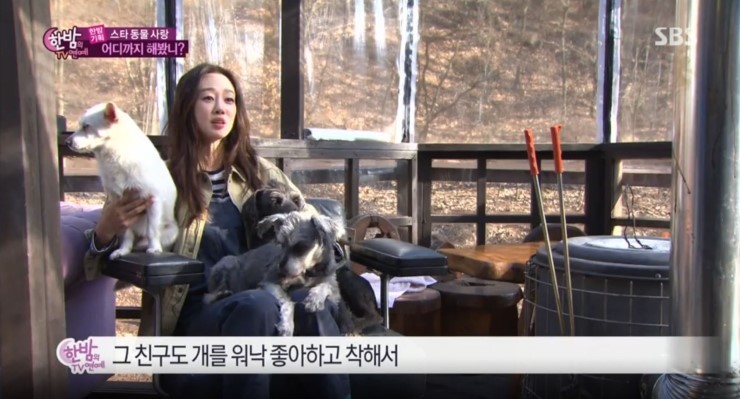 반려동물 사지 않고 입양한 연예인들.jpg | 인스티즈