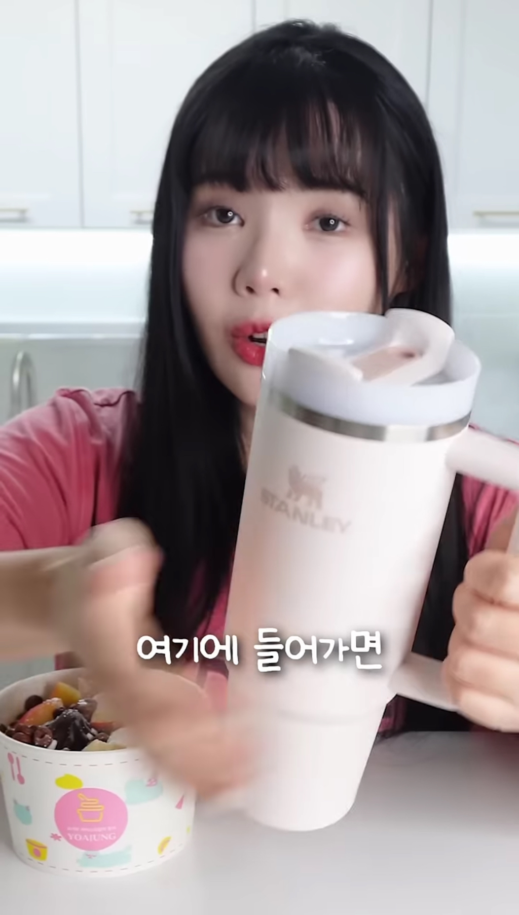 스탠리 텀블러에 요아정을 넣고 방콕 여행을 가면 녹을까 안 녹을까 | 인스티즈