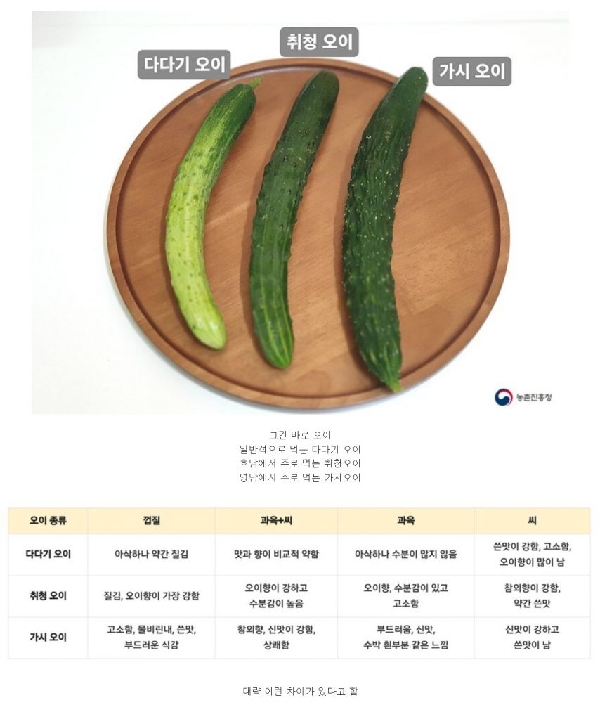 의외로 지역별로 취향이 다른거 | 인스티즈
