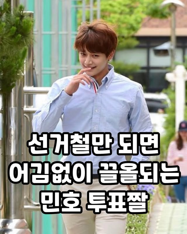선거철만 되면 어김없이 끌올되는 투표짤.jpg | 인스티즈