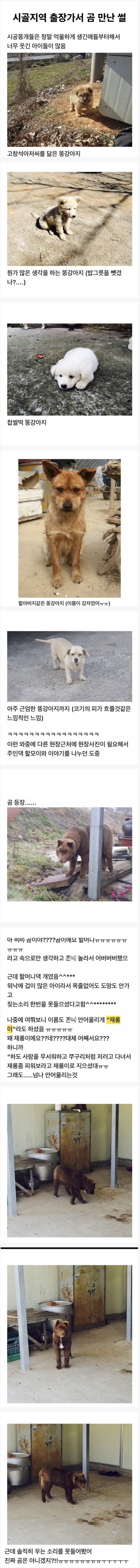 시골 지역 출장가서 곰 만난 썰 | 인스티즈