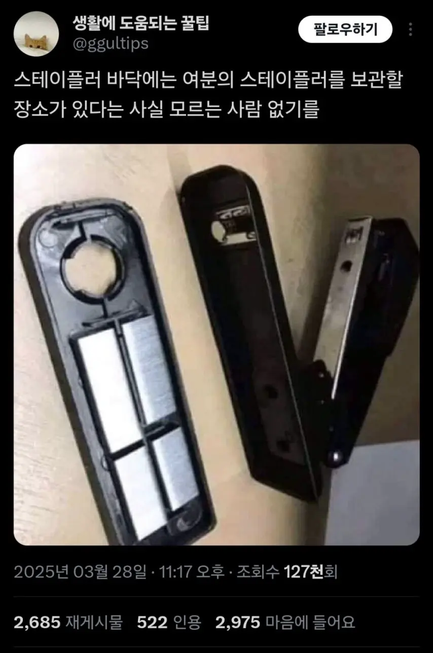 스테이플러 바닥을 뜯어봐야하는 이유 | 인스티즈