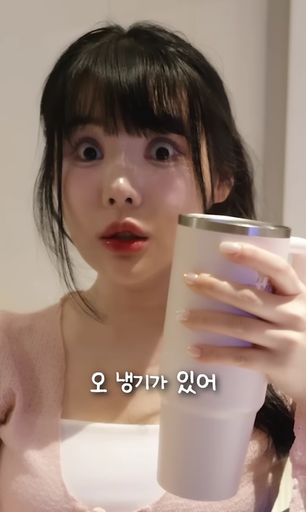 스탠리 텀블러에 요아정을 넣고 방콕 여행을 가면 녹을까 안 녹을까 | 인스티즈