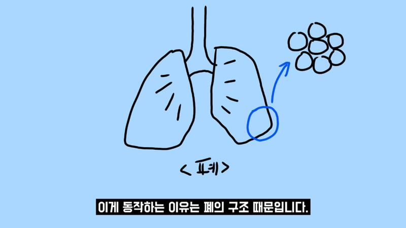 과학적으로 증명됐다는 즉각적 스트레스 완화 방법 | 인스티즈
