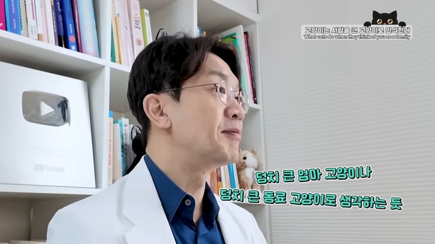 고양이와 강아지의 인식 차이 | 인스티즈