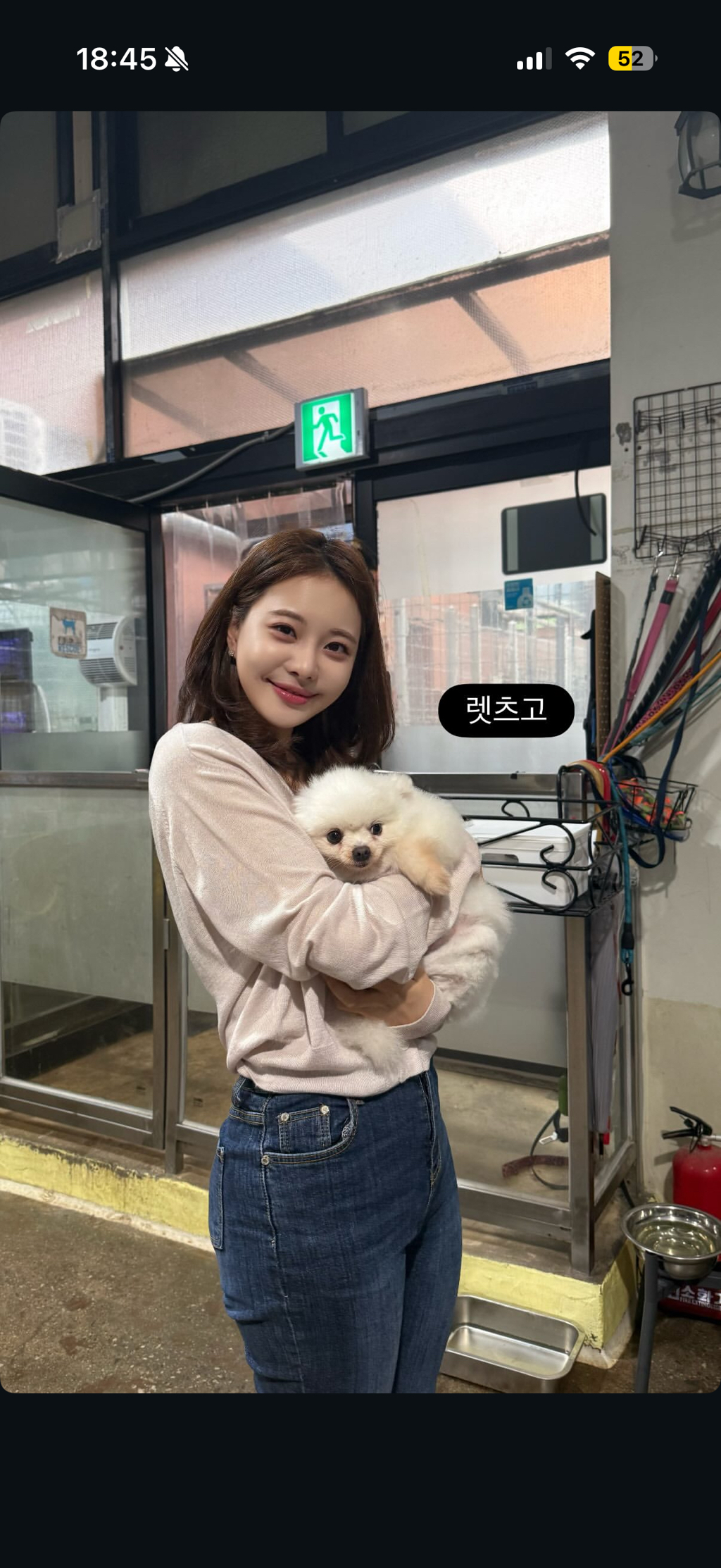 강아지공장에서 50마리 출산한 번식견 입양한 아옳이 | 인스티즈