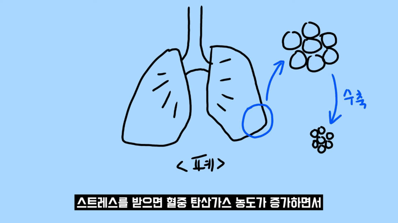 과학적으로 증명됐다는 즉각적 스트레스 완화 방법 | 인스티즈