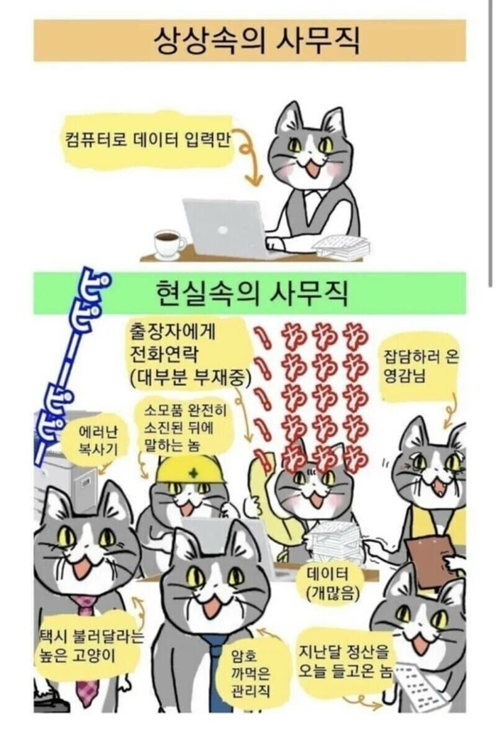 인간의 S급 능력 중 하나 | 인스티즈