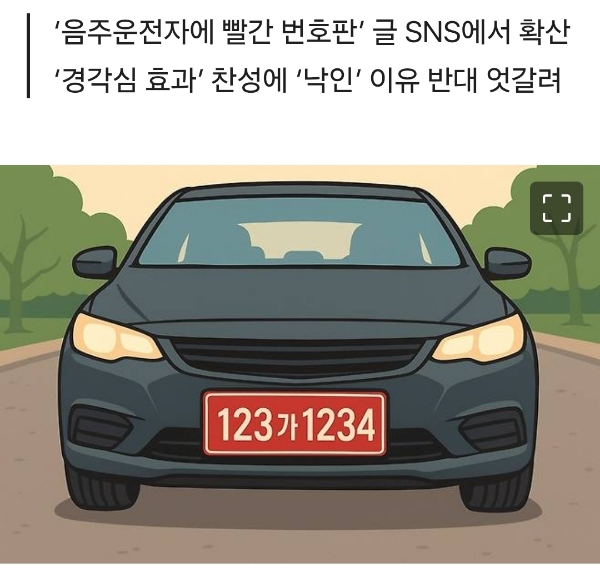 음주운전자한테 빨간 번호판 달자 | 인스티즈