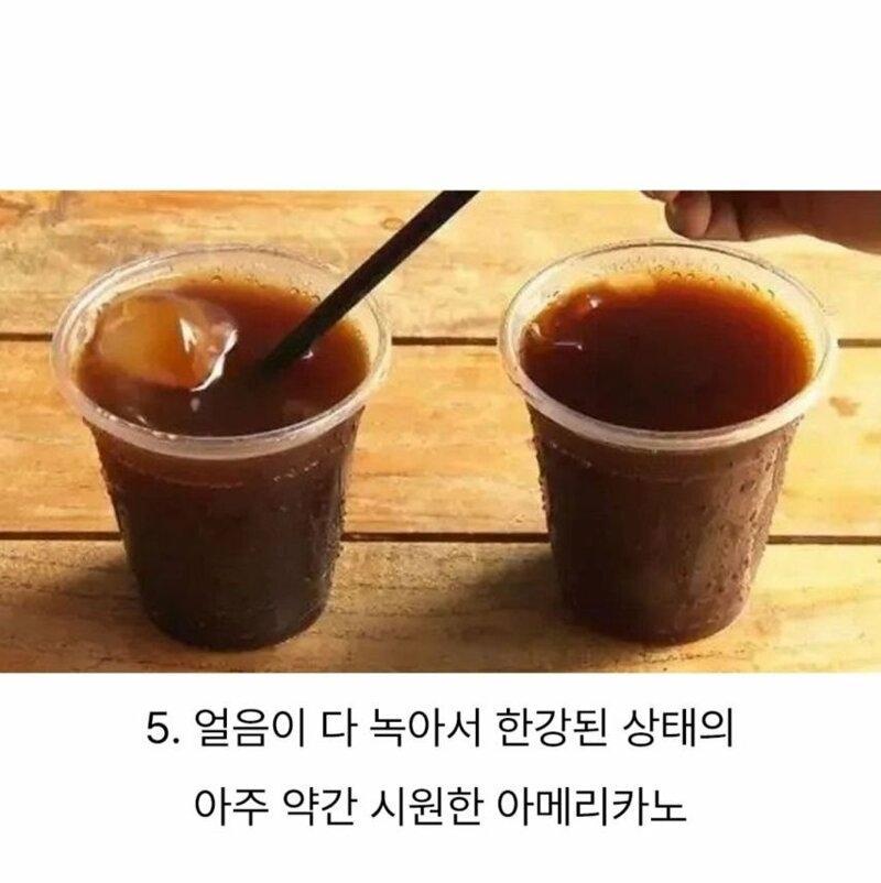 분명히 있다는 마이너 음식 덕후들 | 인스티즈
