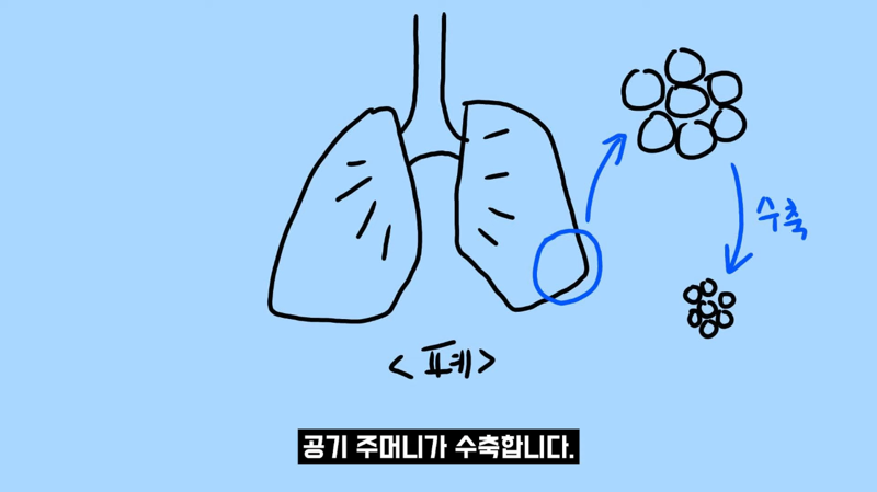 과학적으로 증명됐다는 즉각적 스트레스 완화 방법 | 인스티즈