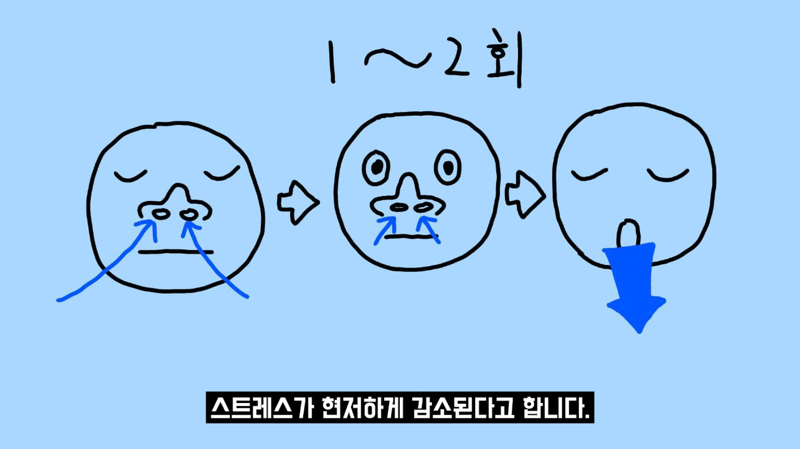 과학적으로 증명됐다는 즉각적 스트레스 완화 방법 | 인스티즈