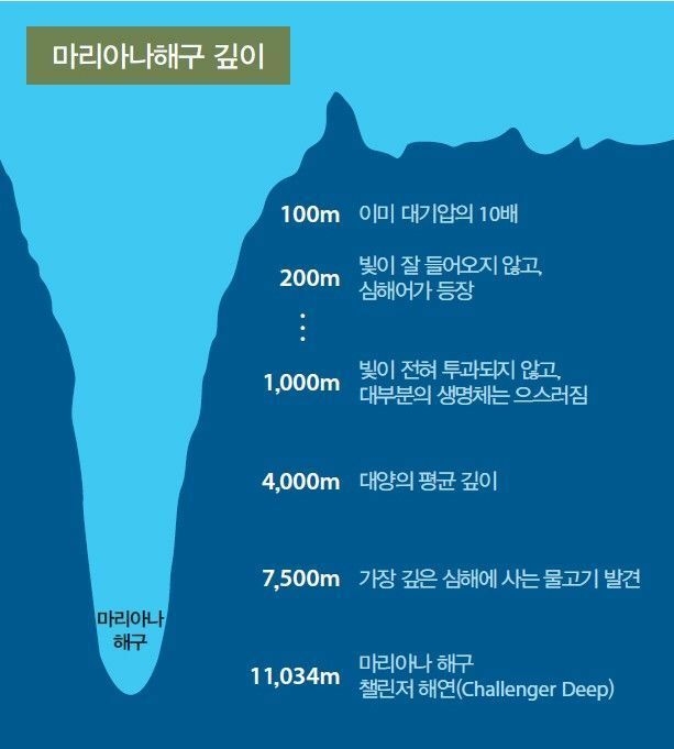 지구 바다의 깊이를 이번 기회에 알아보자 | 인스티즈