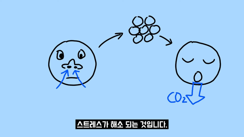 과학적으로 증명됐다는 즉각적 스트레스 완화 방법 | 인스티즈