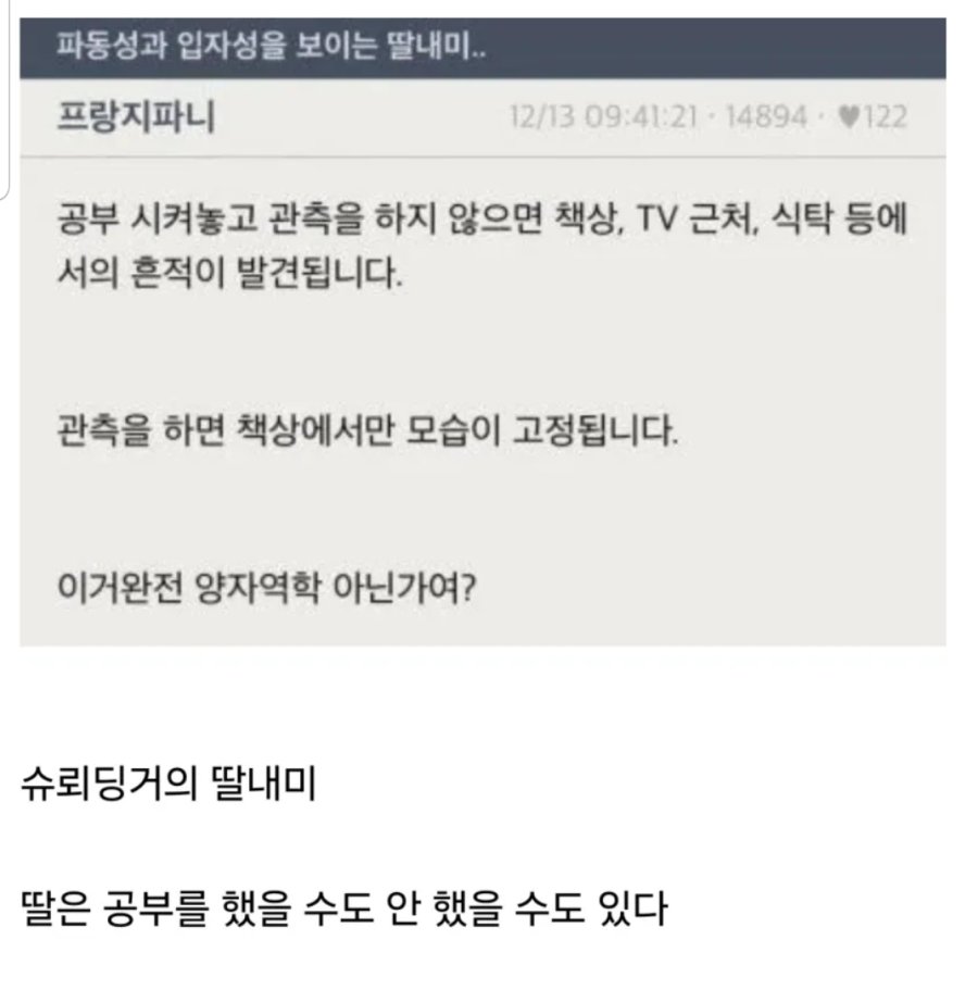 양자역학을 잘 설명한 예시 甲 | 인스티즈
