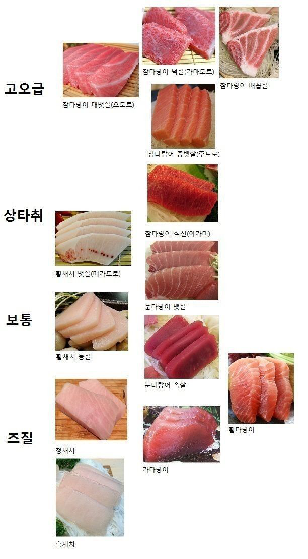 참치회 부위별 서열 | 인스티즈
