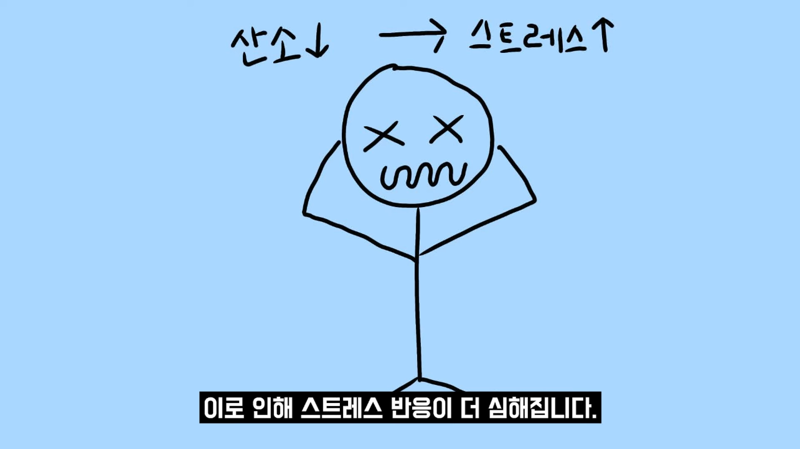 과학적으로 증명됐다는 즉각적 스트레스 완화 방법 | 인스티즈