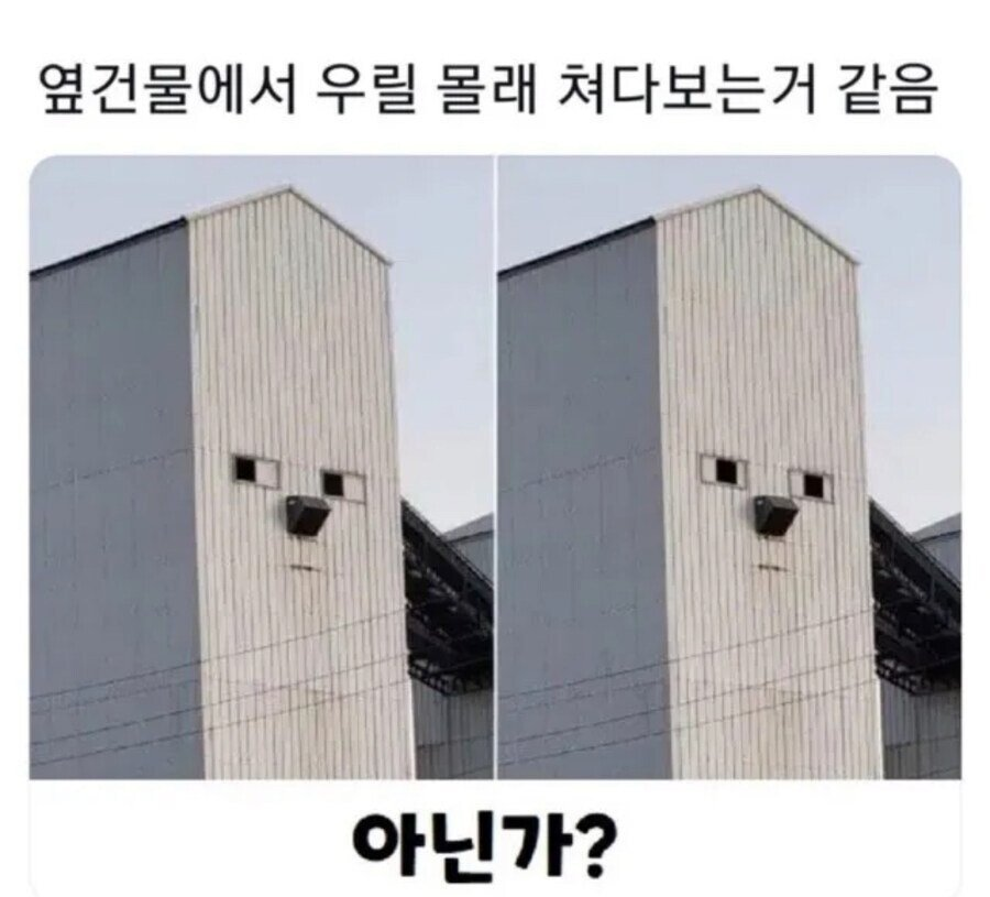 옆 건물에서 우릴 몰래 쳐다보는거 같다 | 인스티즈