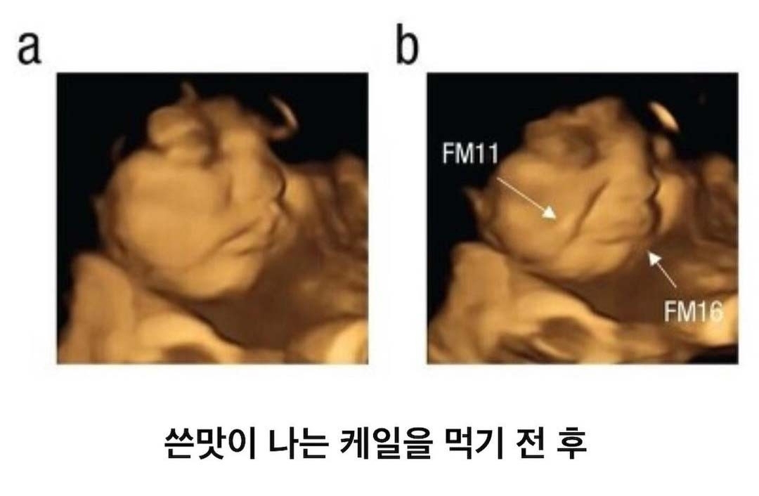임신했을 때 아기가 먹고싶다는 말이 맞나봄 | 인스티즈