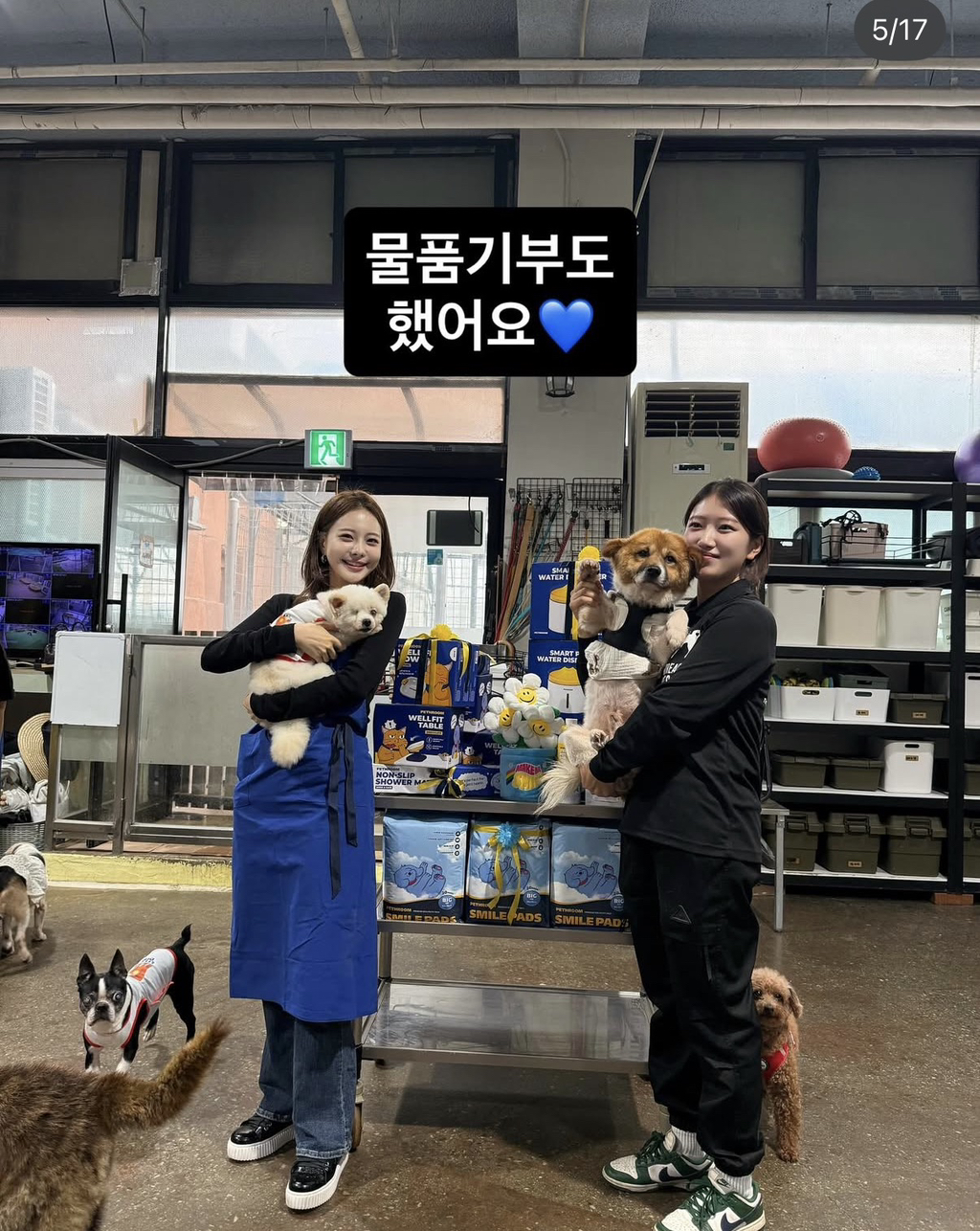 강아지공장에서 50마리 출산한 번식견 입양한 아옳이 | 인스티즈