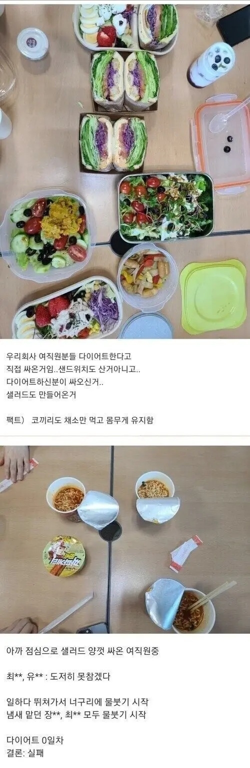 다이어트 도시락을 가져온 여직원의 최후 | 인스티즈