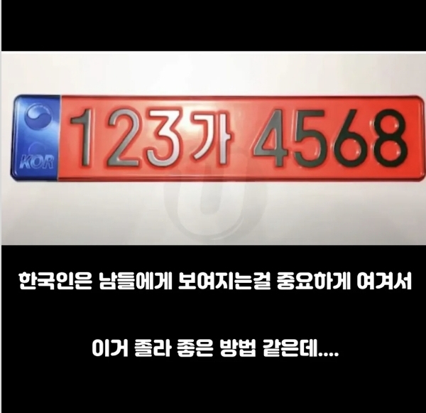 음주운전자한테 빨간 번호판 달자 | 인스티즈