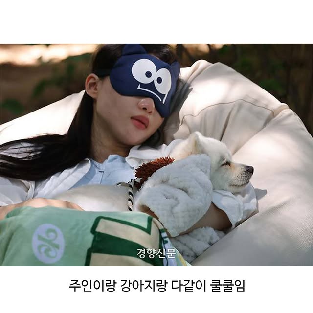 서울숲에서 열린 개꿀잠대회 | 인스티즈