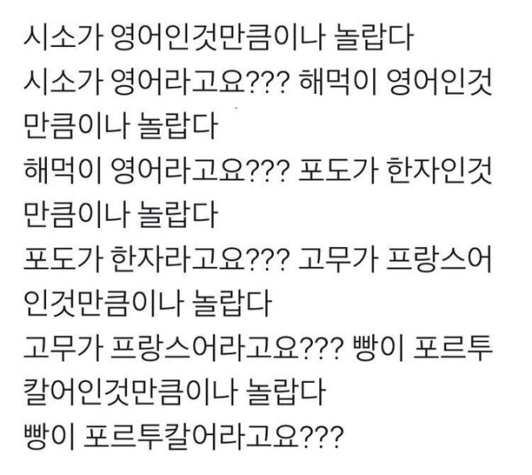 시소가 영어인것만큼이나 놀랍다 | 인스티즈
