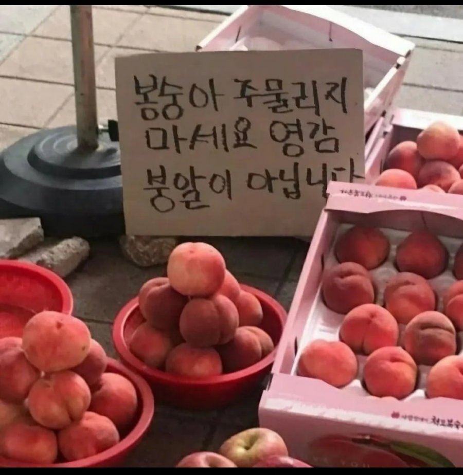 흔한 장터의 경고문 | 인스티즈
