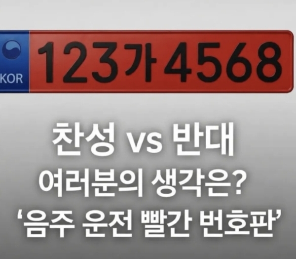 음주운전자한테 빨간 번호판 달자 | 인스티즈