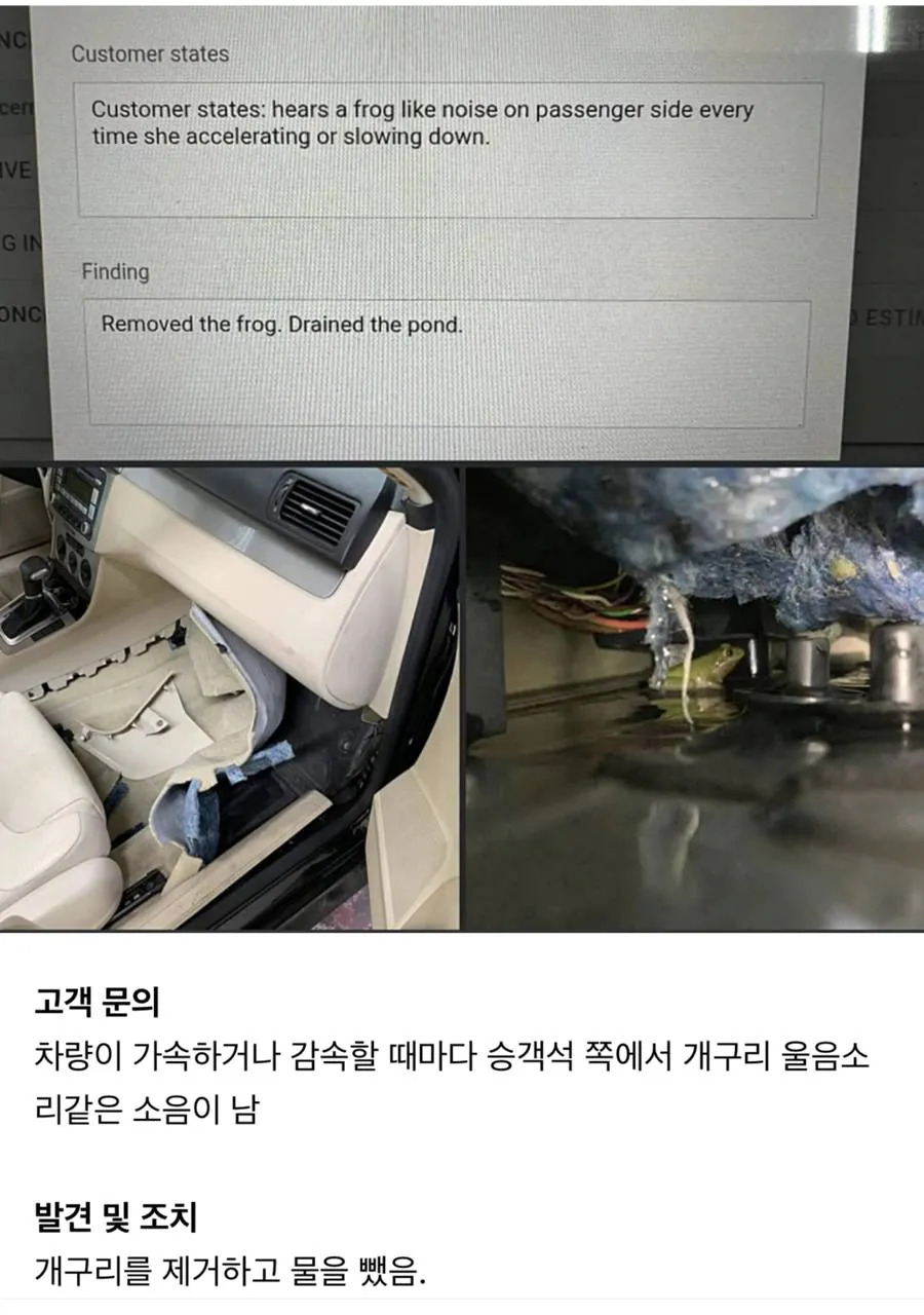 차에서 개구리 소리가 나요 | 인스티즈
