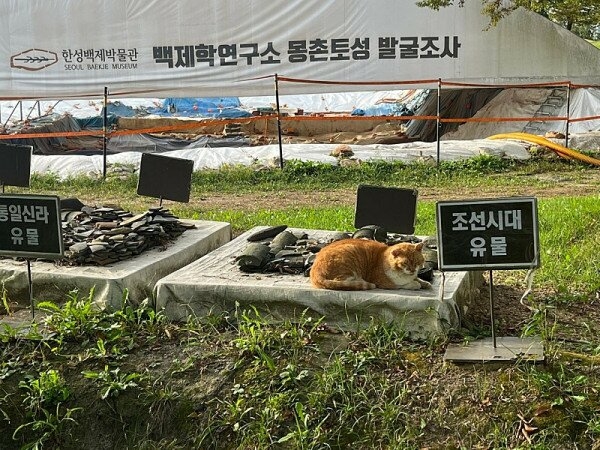 흔한 조선시대 유물 | 인스티즈