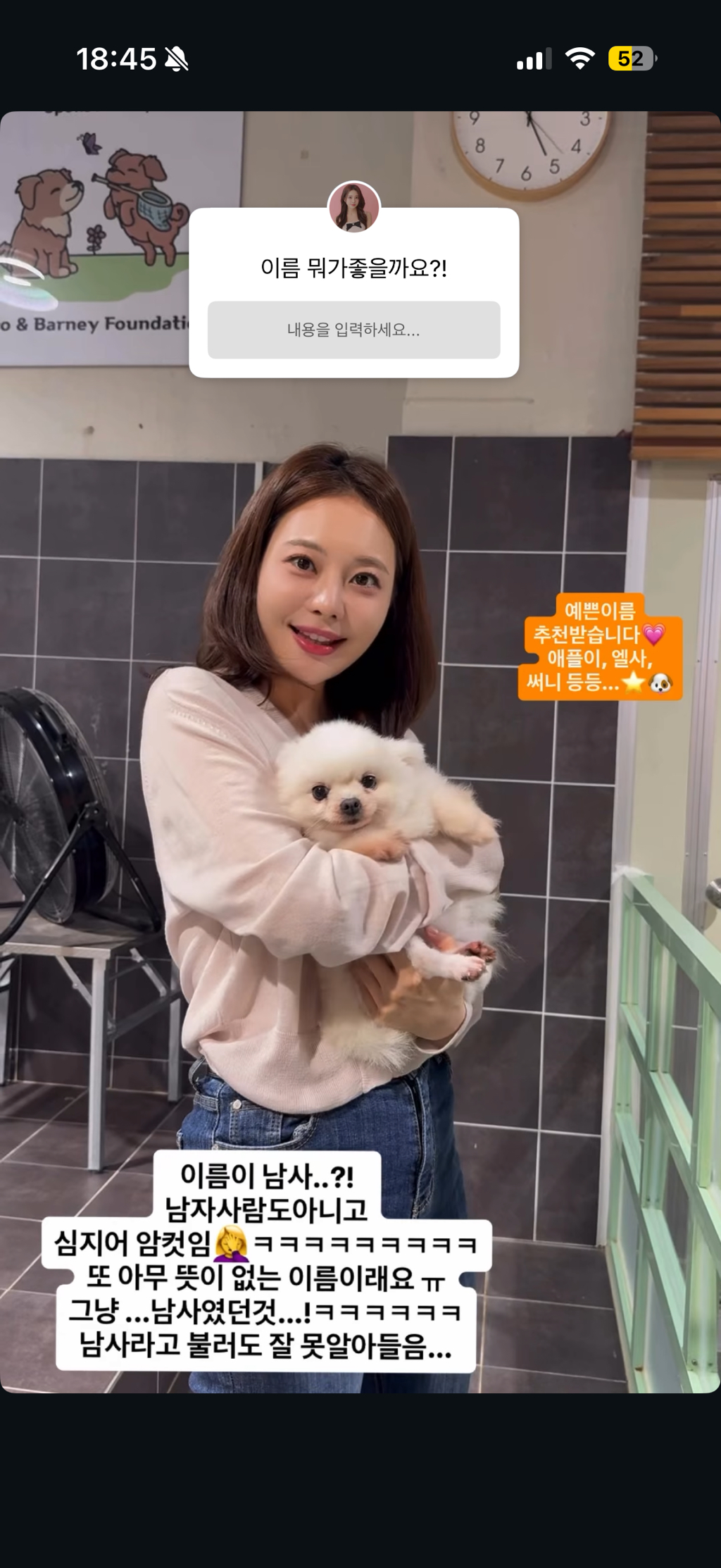 강아지공장에서 50마리 출산한 번식견 입양한 아옳이 | 인스티즈
