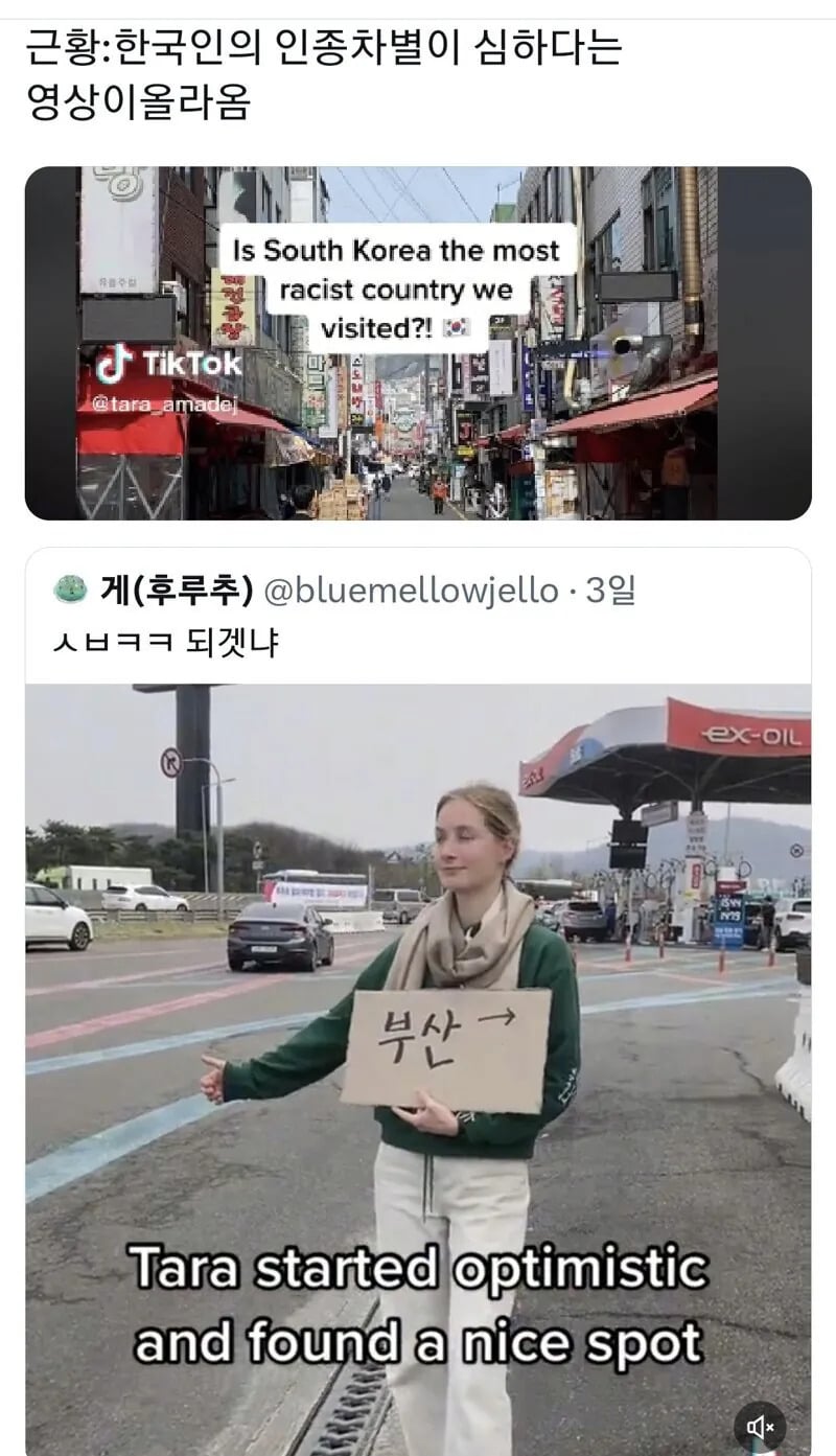 "한국 인종차별이 심하네요" | 인스티즈