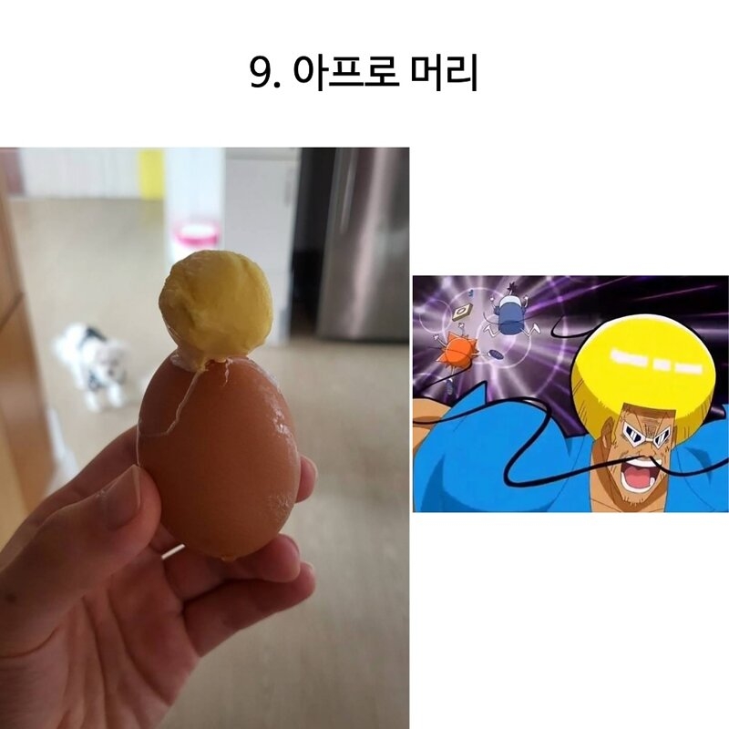 천하 제일 달걀 삶기 대회 | 인스티즈