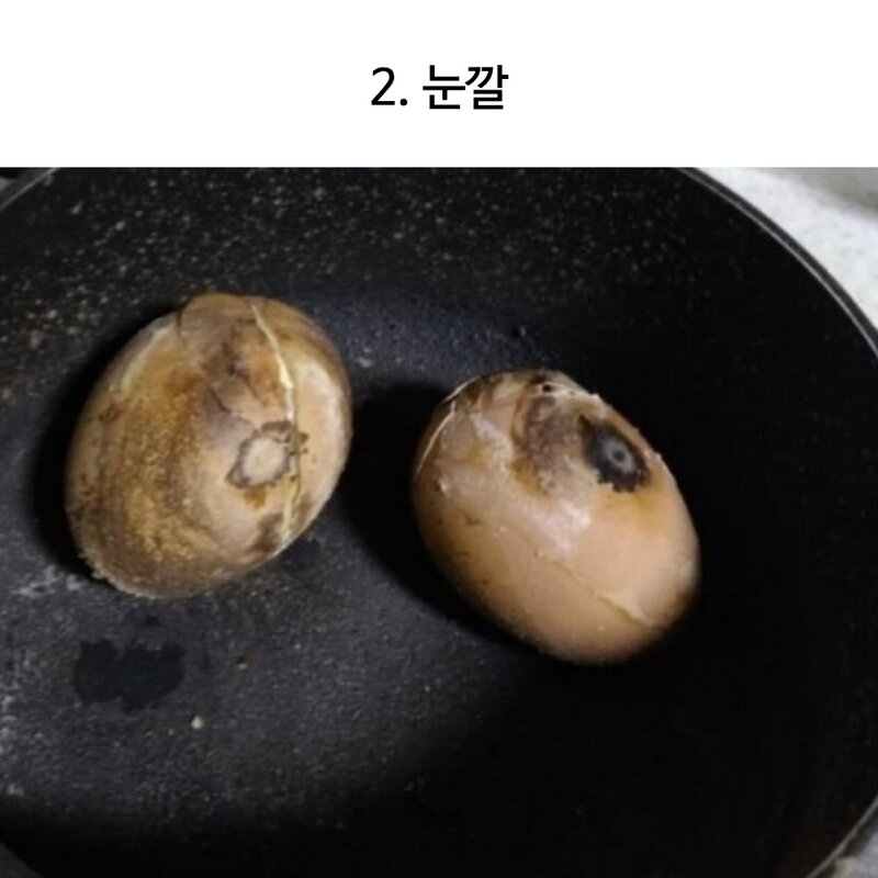 천하 제일 달걀 삶기 대회 | 인스티즈