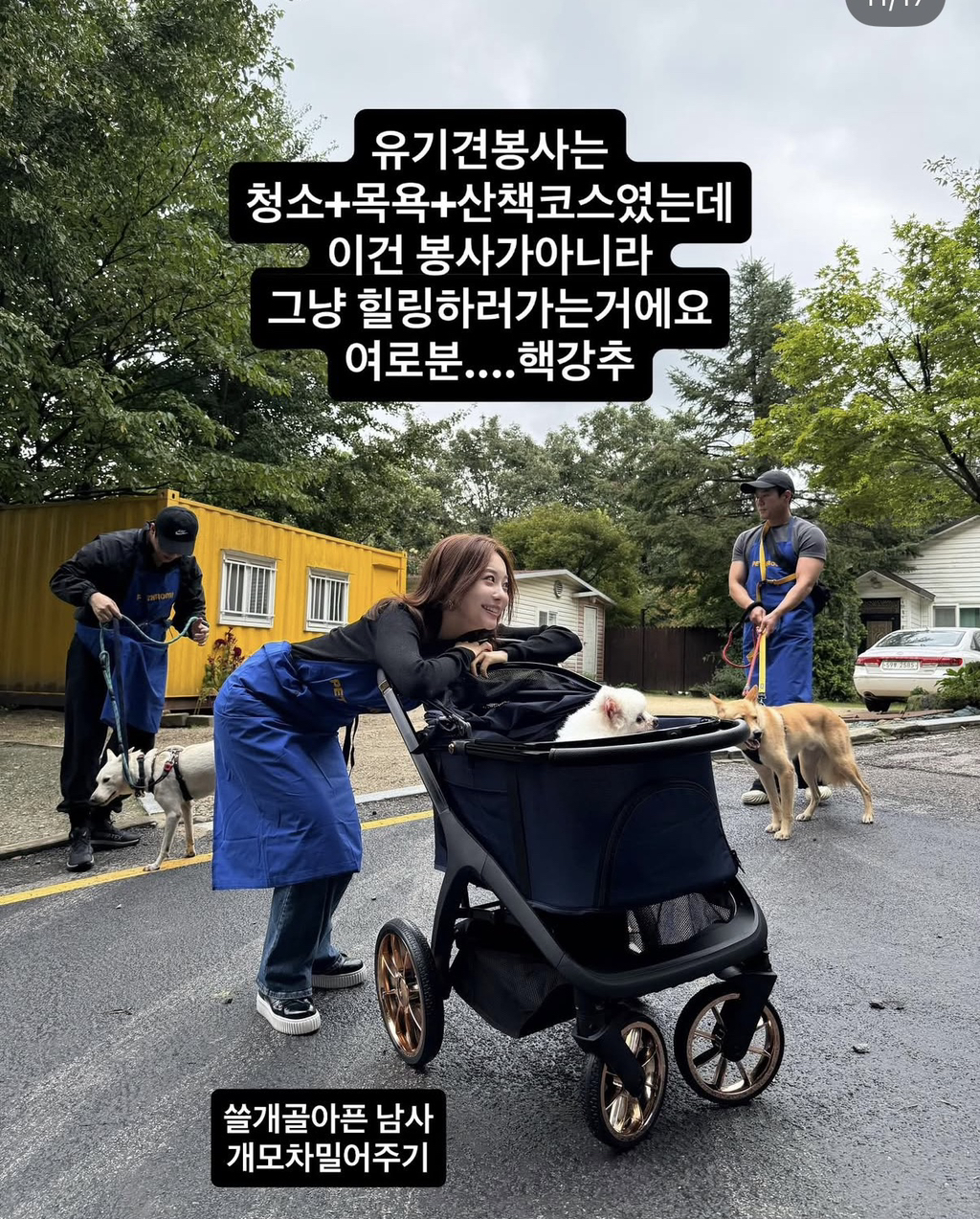 강아지공장에서 50마리 출산한 번식견 입양한 아옳이 | 인스티즈