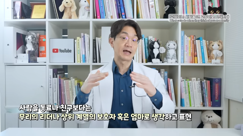 고양이와 강아지의 인식 차이 | 인스티즈