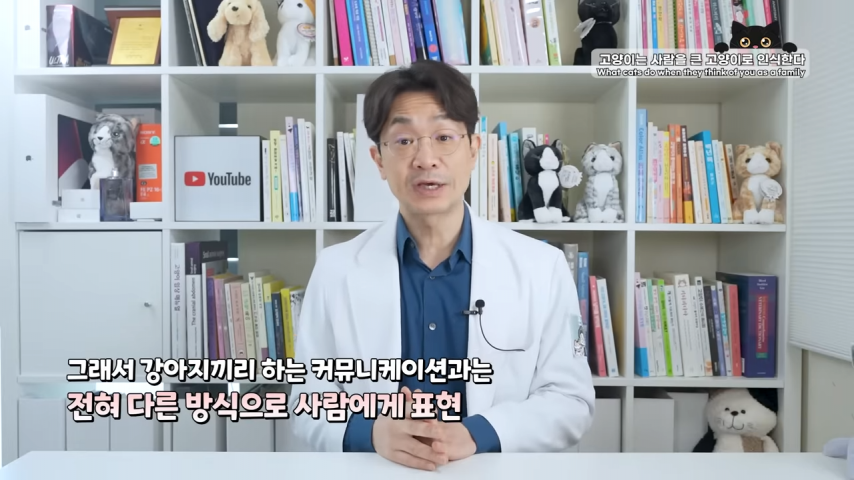 고양이와 강아지의 인식 차이 | 인스티즈