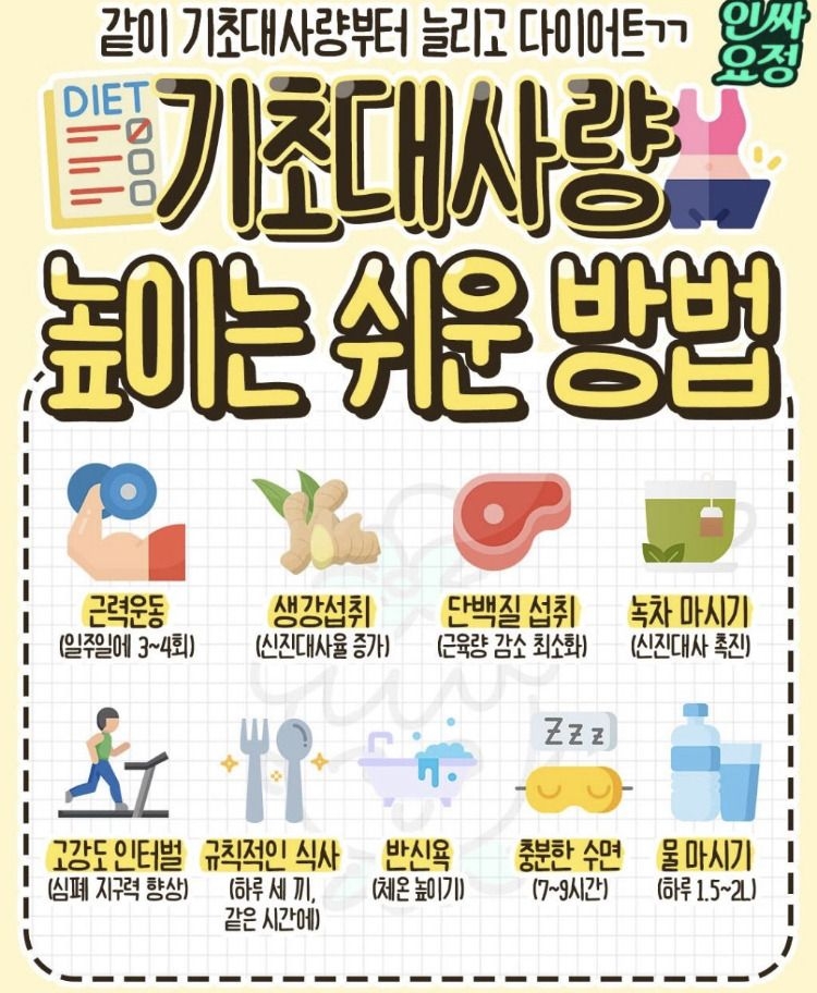 기초 대사량 높이는 쉬운 방법 | 인스티즈