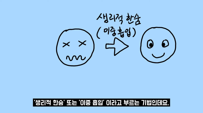 과학적으로 증명됐다는 즉각적 스트레스 완화 방법 | 인스티즈