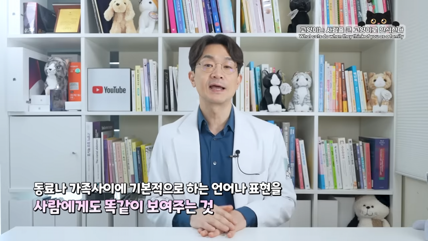 고양이와 강아지의 인식 차이 | 인스티즈