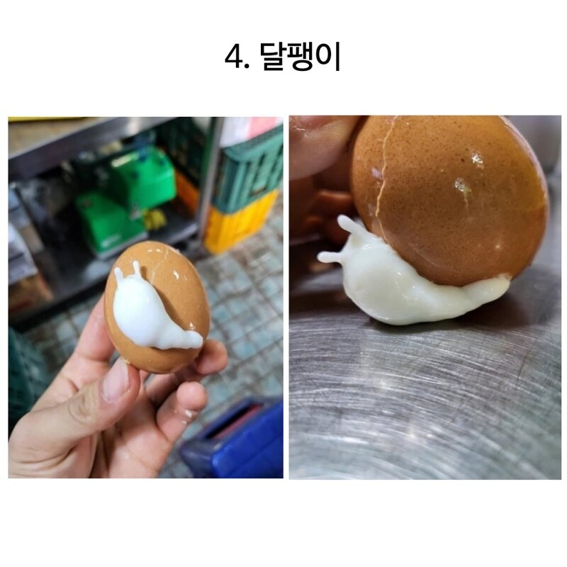 천하 제일 달걀 삶기 대회 | 인스티즈